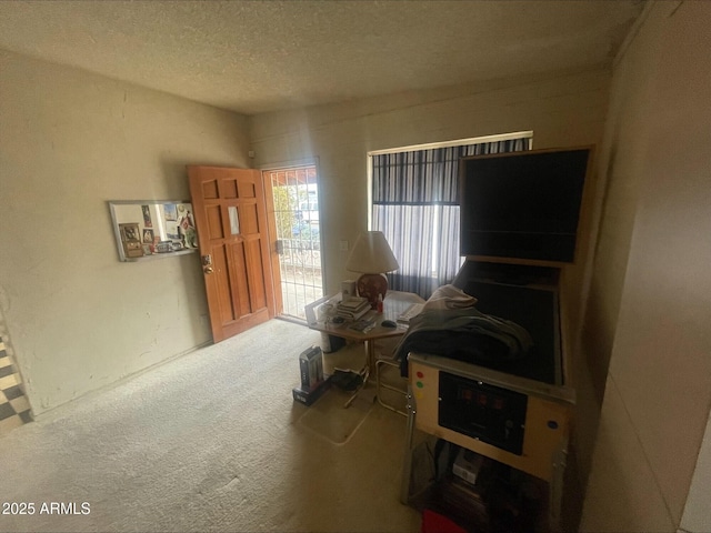 misc room with carpet flooring and a textured ceiling