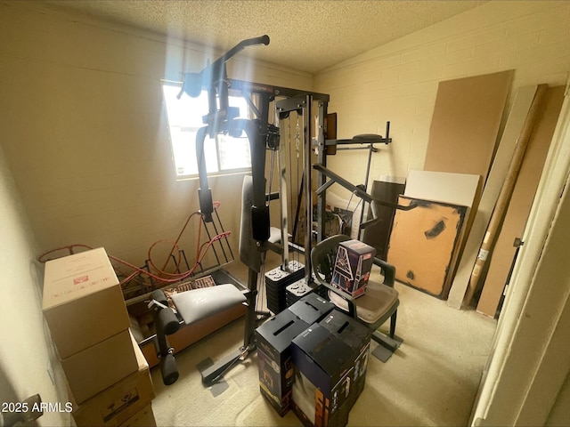workout room with carpet floors, a textured ceiling, and concrete block wall