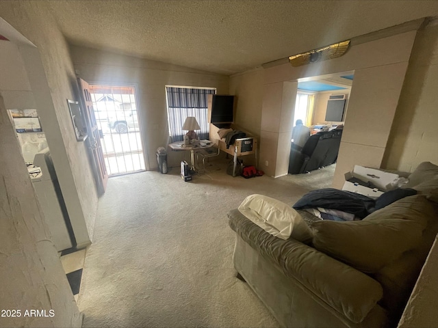 living room with a textured ceiling, lofted ceiling, and carpet