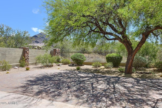 view of yard with a patio, a mountain view, and a fenced backyard