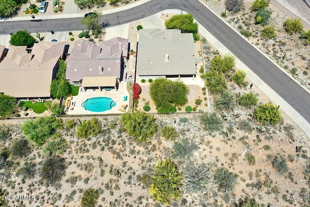 bird's eye view