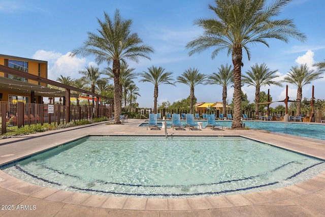 view of pool featuring a patio area