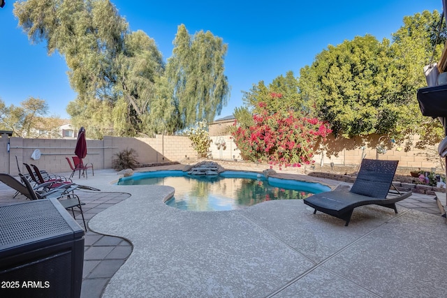 view of pool featuring a patio