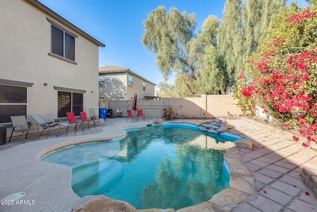 view of pool with a patio