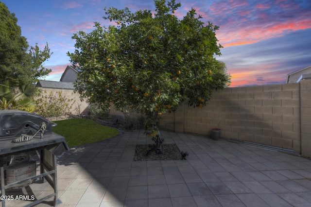 patio terrace at dusk with grilling area