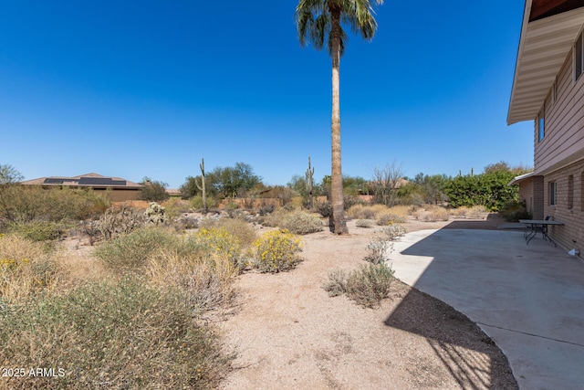 view of yard featuring a patio