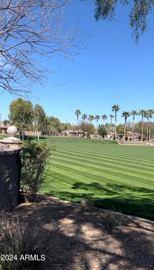 view of community featuring a yard