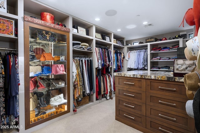 36389 N 105th Pl, Scottsdale, AZ 85262 - spacious closet with carpet flooring