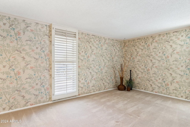 unfurnished room featuring light colored carpet and crown molding