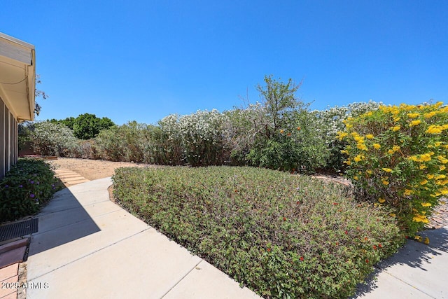 519 N Redondo Dr N, Litchfield Park, AZ 85340 - view of yard