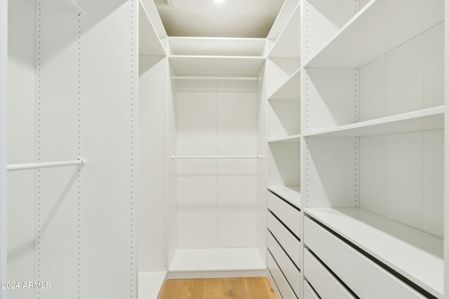 spacious closet featuring light wood-type flooring