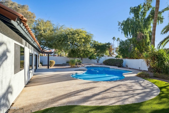 view of pool with a patio