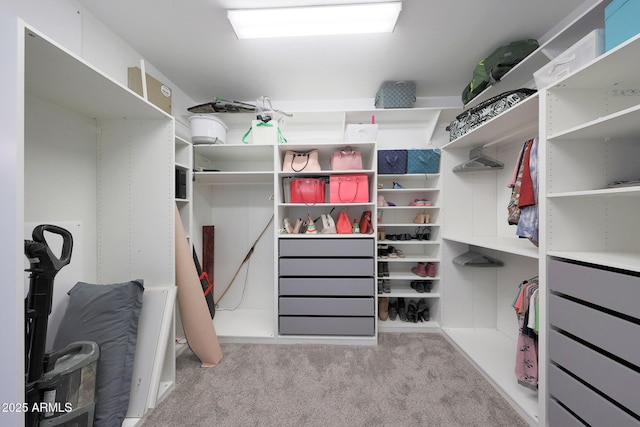 9750 E Radioactive Dr, Mesa, AZ 85212 - spacious closet featuring carpet floors