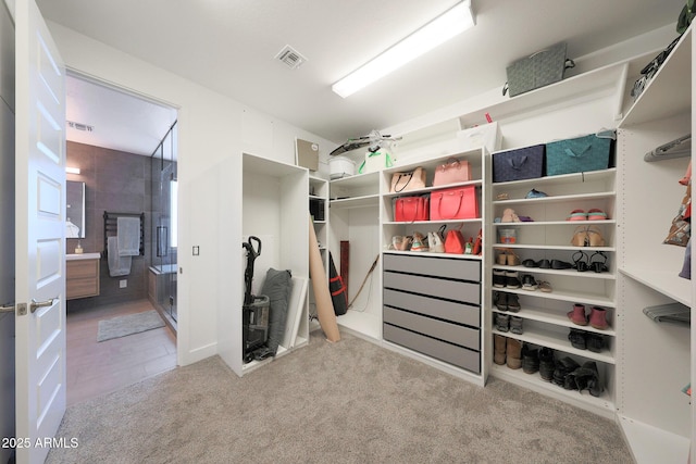9750 E Radioactive Dr, Mesa, AZ 85212 - spacious closet featuring carpet