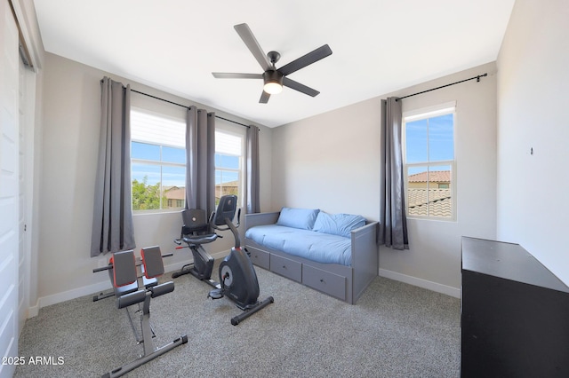 9750 E Radioactive Dr, Mesa, AZ 85212 - workout area with ceiling fan, baseboards, and carpet