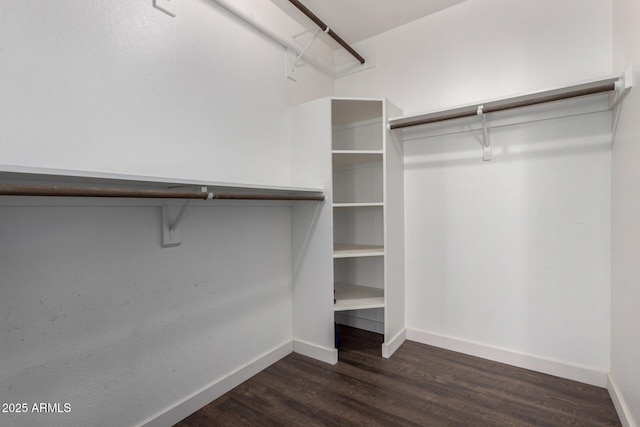 spacious closet featuring dark hardwood / wood-style flooring