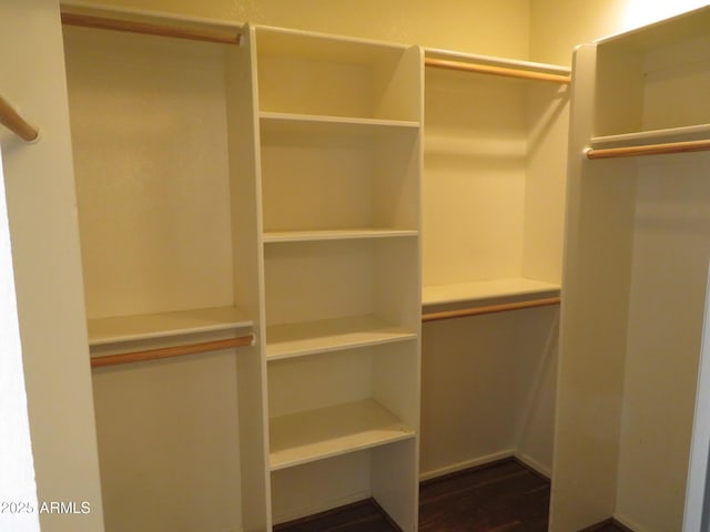 spacious closet featuring dark wood-type flooring