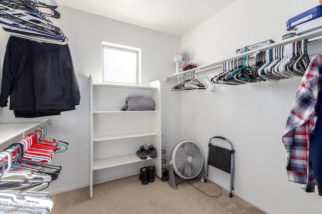 spacious closet featuring carpet floors