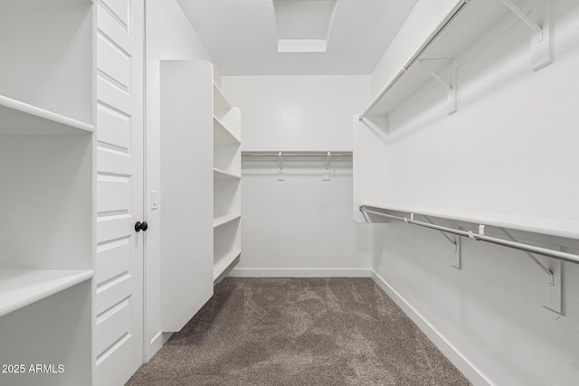 walk in closet with dark carpet