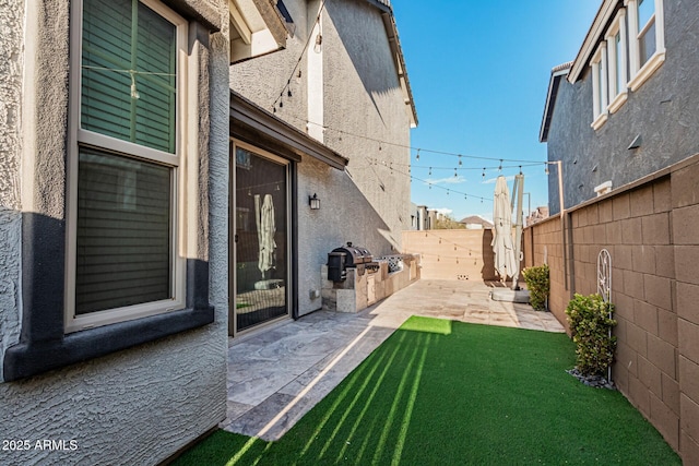 view of yard featuring a patio area