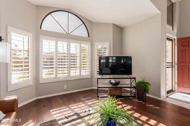 living room featuring a high ceiling and wood-type flooring