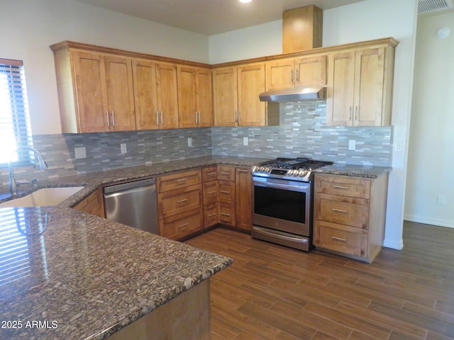 kitchen with sink, tasteful backsplash, dark stone countertops, appliances with stainless steel finishes, and dark hardwood / wood-style flooring