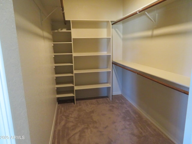 spacious closet with dark carpet