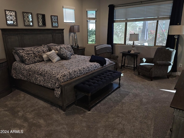 carpeted bedroom with multiple windows