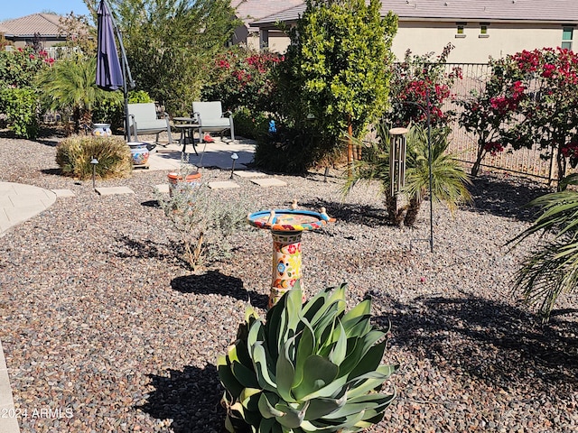 view of yard featuring a patio