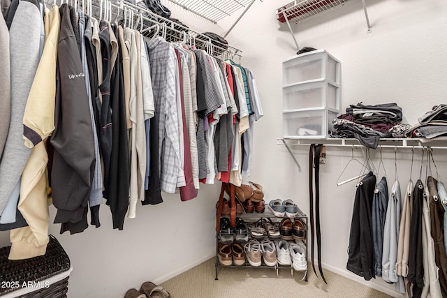 walk in closet featuring carpet floors