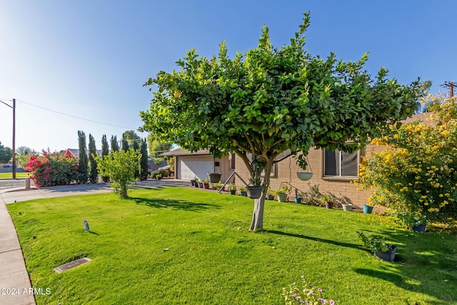 view of yard with a garage