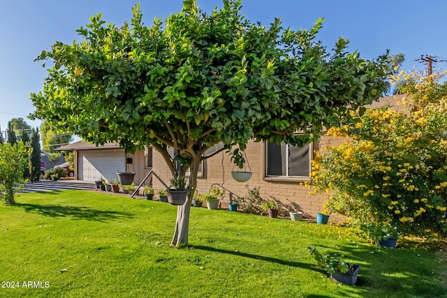 view of yard with a garage