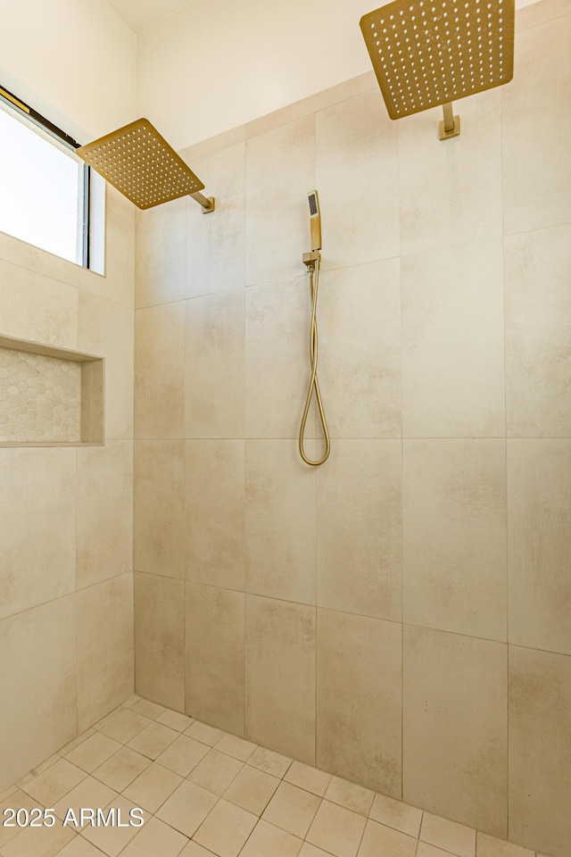 10918 W Dove Roost Rd, Queen Creek, AZ 85144 - full bath with a tile shower