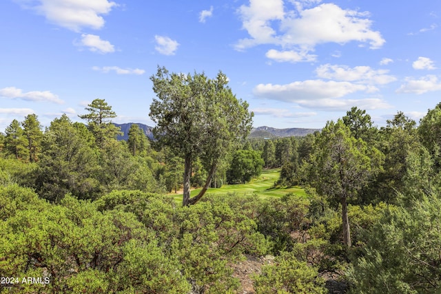 Listing photo 3 for 2203 E Scenic Dr, Payson AZ 85541