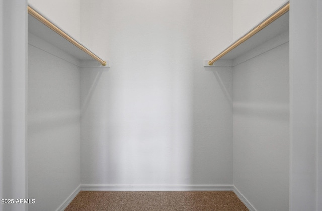 walk in closet with carpet floors