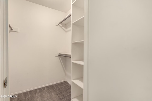 walk in closet featuring dark carpet