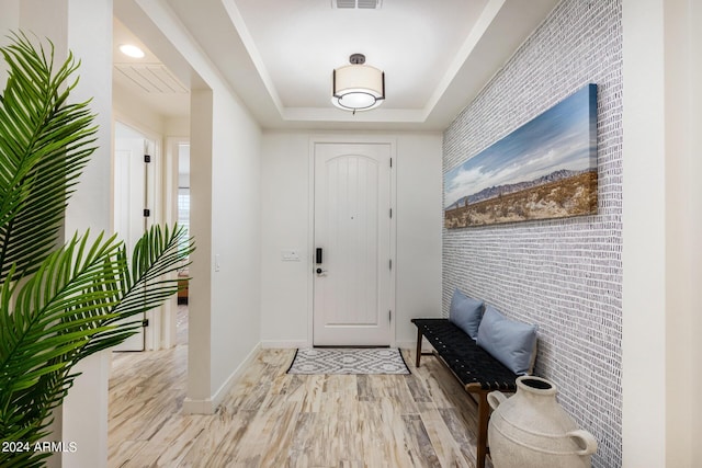 entryway featuring a raised ceiling and light wood-type flooring