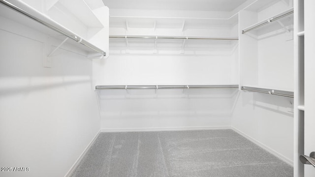 25118 N 171st Ln, Surprise, AZ 85387 - walk in closet with carpet floors