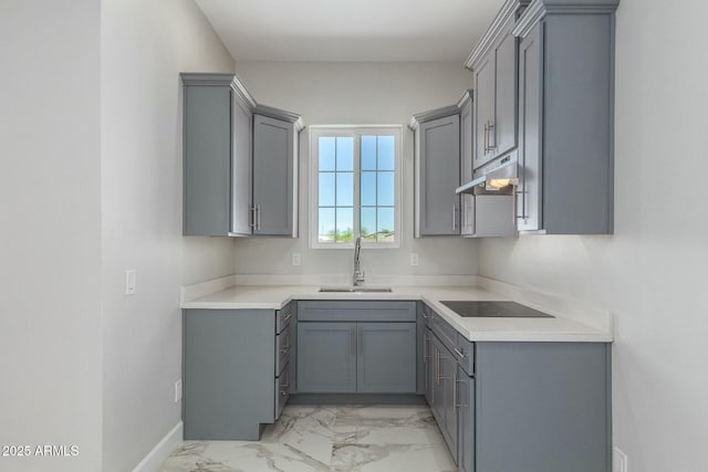 kitchen with black electric cooktop, a sink, under cabinet range hood, gray cabinetry, and marble finish floor
