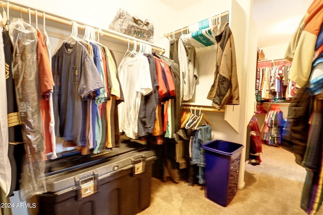 walk in closet featuring light colored carpet