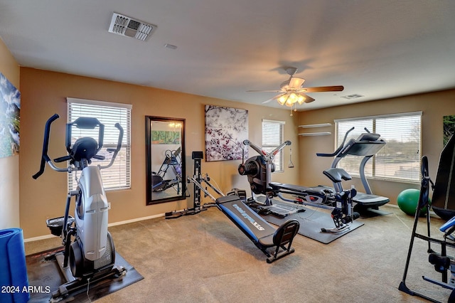 exercise room featuring ceiling fan and carpet floors