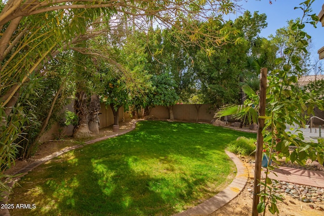 view of yard featuring a fenced backyard