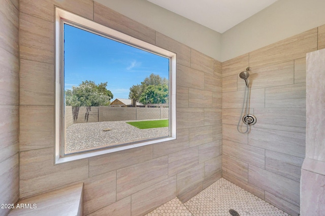 166 W Merrill Ct, Gilbert, AZ 85233 - full bath featuring tiled shower
