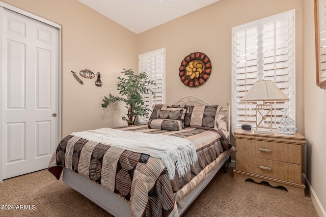 carpeted bedroom with a closet