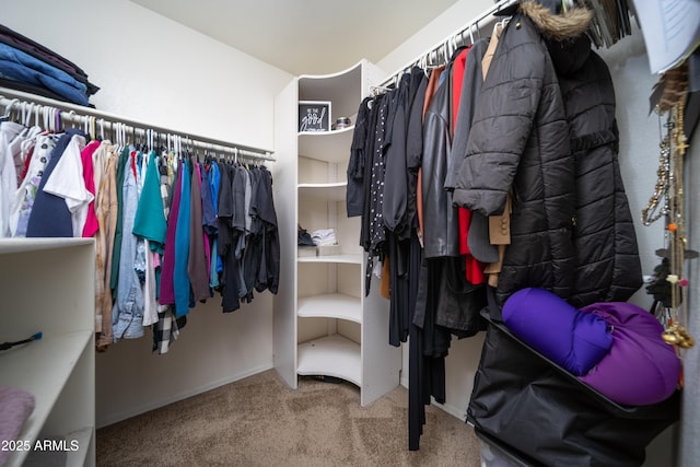 walk in closet with carpet flooring