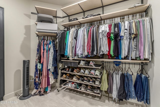 view of spacious closet