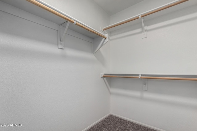 spacious closet with carpet