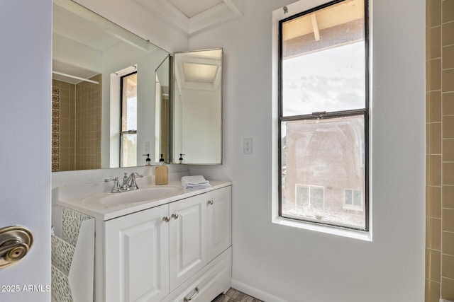 bathroom with vanity and a wealth of natural light