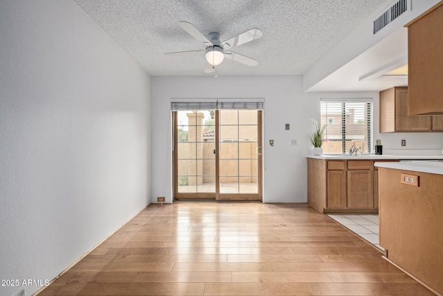 kitchen with a wealth of natural light, a textured ceiling, and light wood-type flooring