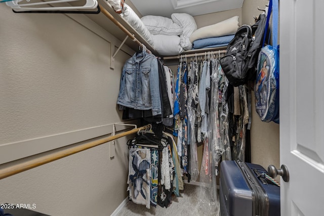 spacious closet featuring carpet flooring